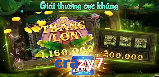 crazy7